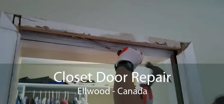 Closet Door Repair Ellwood - Canada