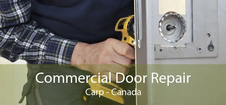 Commercial Door Repair Carp - Canada