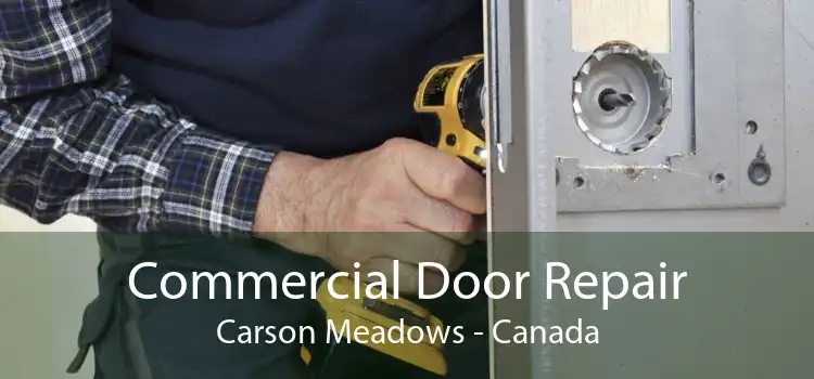 Commercial Door Repair Carson Meadows - Canada
