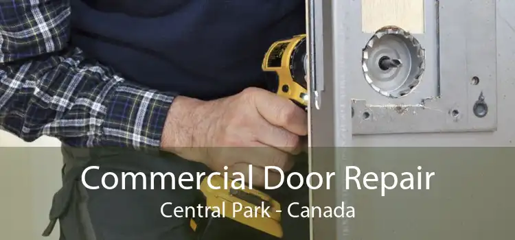 Commercial Door Repair Central Park - Canada