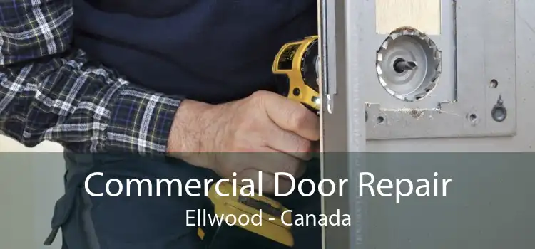 Commercial Door Repair Ellwood - Canada
