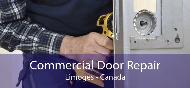 Commercial Door Repair Limoges - Canada