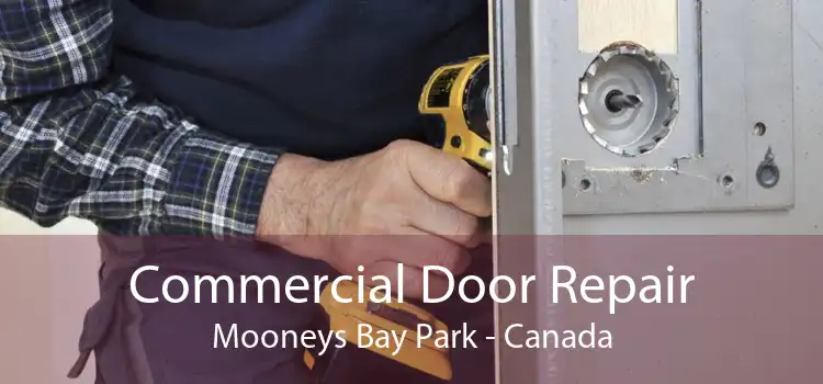 Commercial Door Repair Mooneys Bay Park - Canada