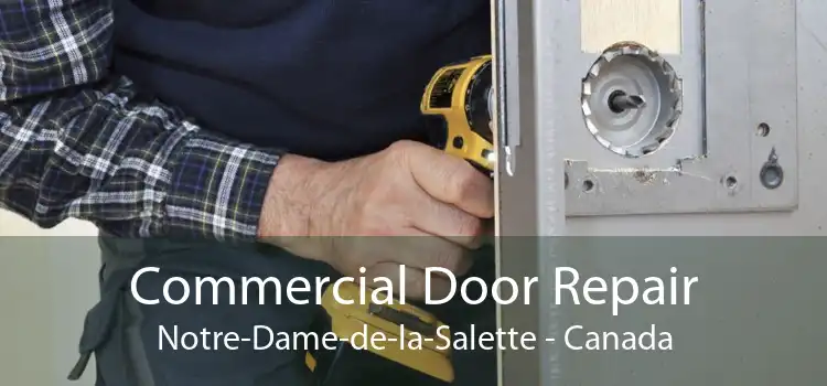 Commercial Door Repair Notre-Dame-de-la-Salette - Canada