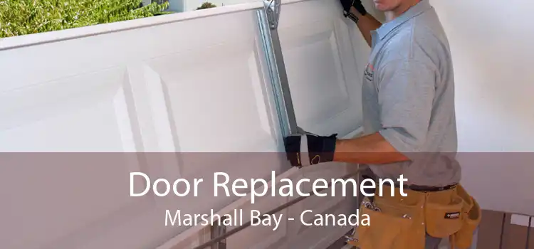 Door Replacement Marshall Bay - Canada