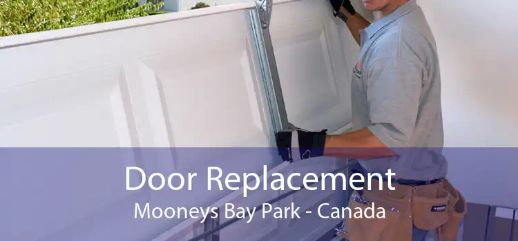 Door Replacement Mooneys Bay Park - Canada