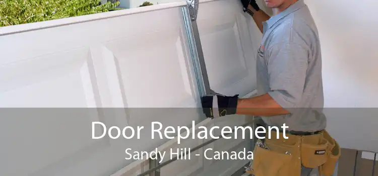 Door Replacement Sandy Hill - Canada