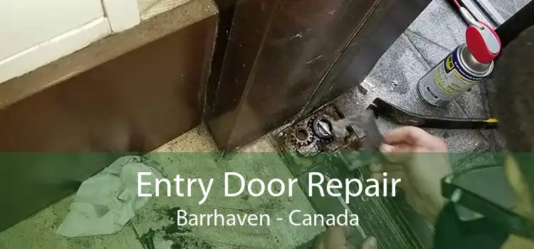 Entry Door Repair Barrhaven - Canada
