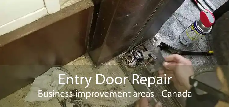 Entry Door Repair Business improvement areas - Canada