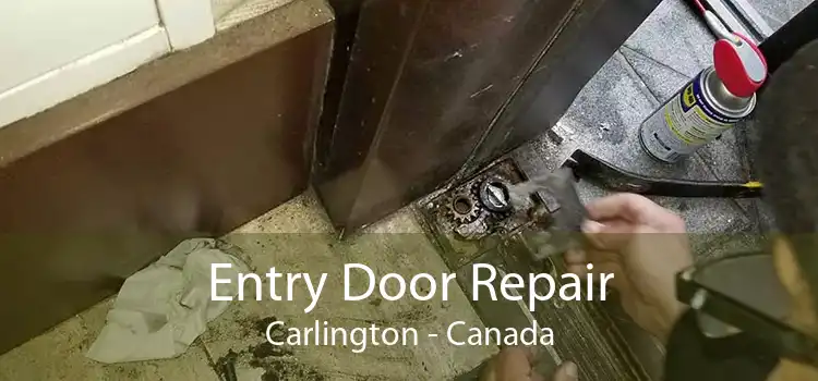 Entry Door Repair Carlington - Canada