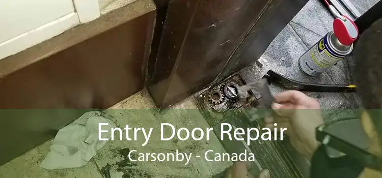 Entry Door Repair Carsonby - Canada