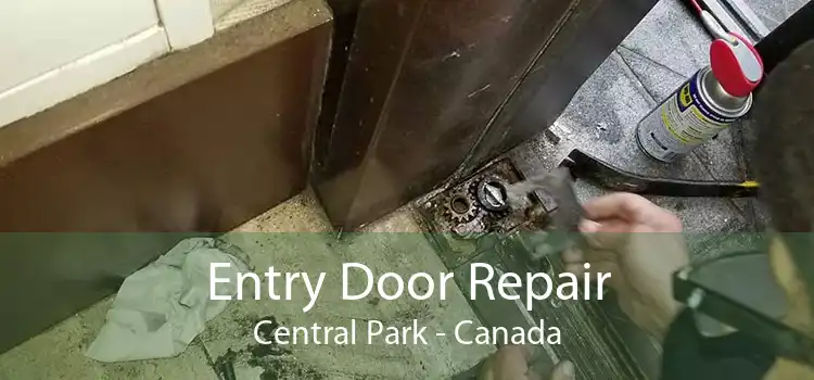 Entry Door Repair Central Park - Canada