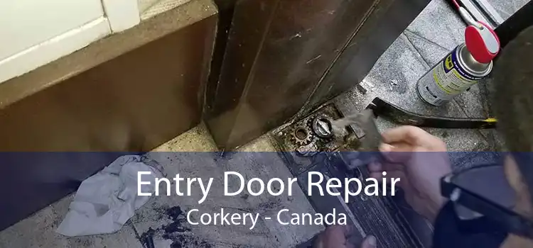 Entry Door Repair Corkery - Canada