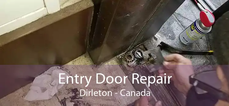Entry Door Repair Dirleton - Canada