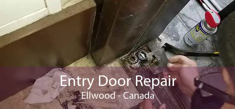 Entry Door Repair Ellwood - Canada