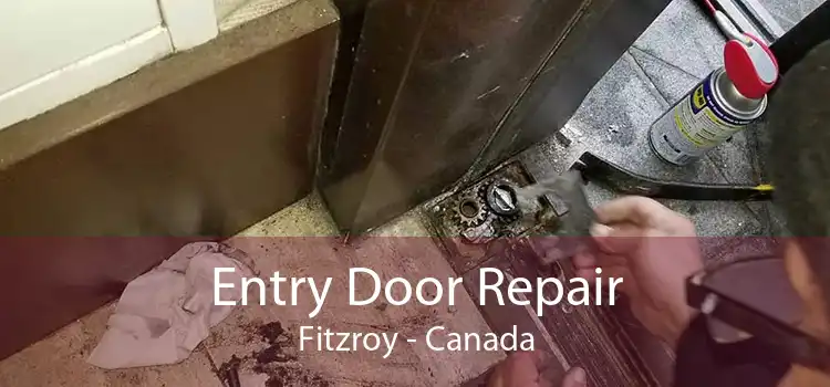 Entry Door Repair Fitzroy - Canada