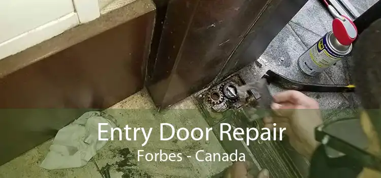 Entry Door Repair Forbes - Canada