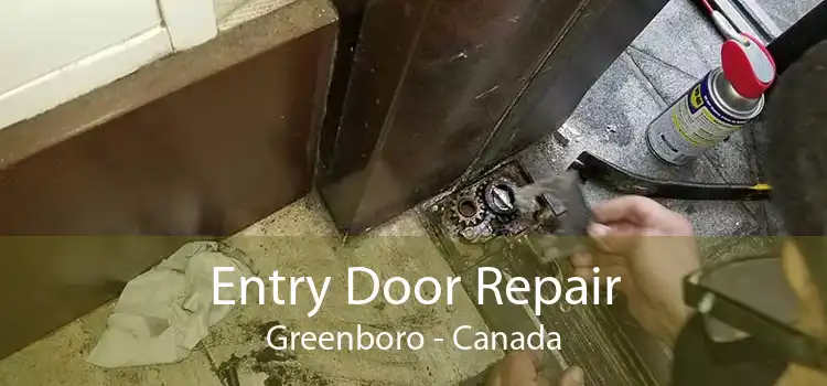 Entry Door Repair Greenboro - Canada