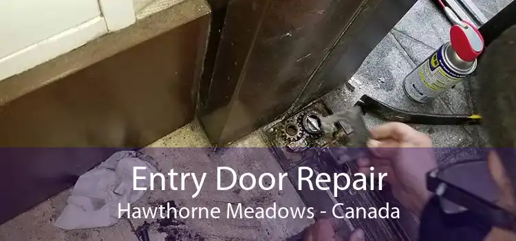 Entry Door Repair Hawthorne Meadows - Canada