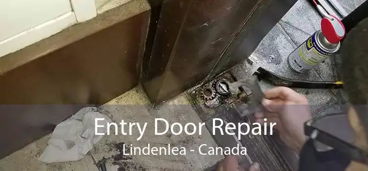 Entry Door Repair Lindenlea - Canada