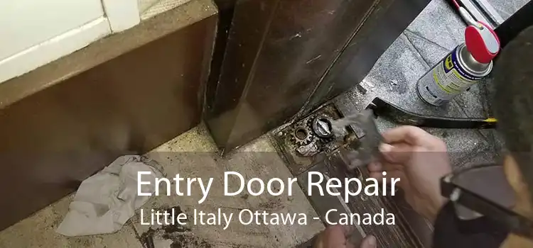 Entry Door Repair Little Italy Ottawa - Canada