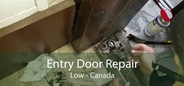 Entry Door Repair Low - Canada