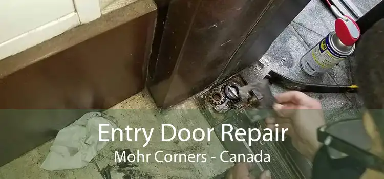 Entry Door Repair Mohr Corners - Canada