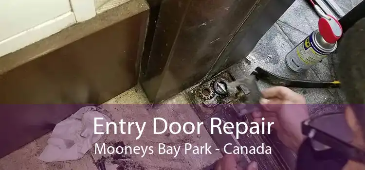 Entry Door Repair Mooneys Bay Park - Canada