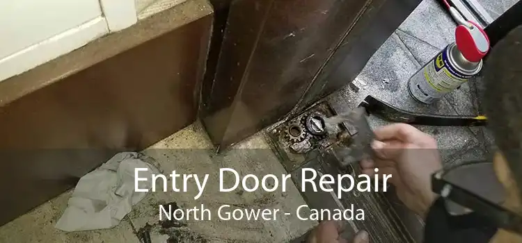 Entry Door Repair North Gower - Canada