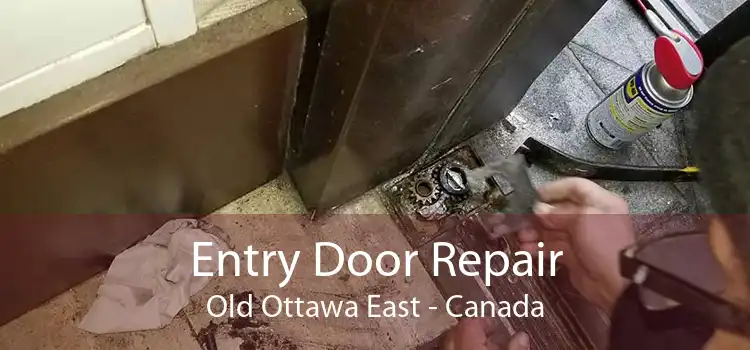 Entry Door Repair Old Ottawa East - Canada