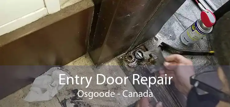 Entry Door Repair Osgoode - Canada
