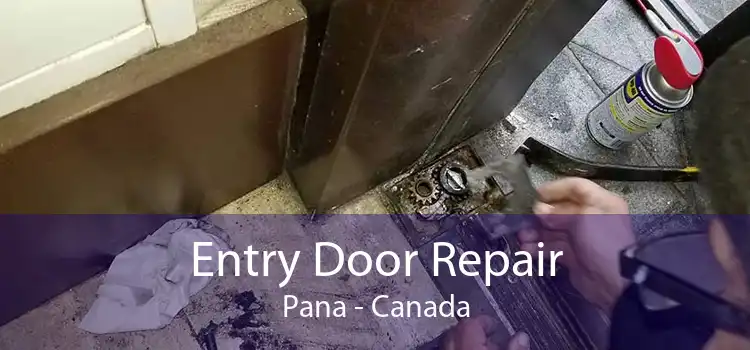 Entry Door Repair Pana - Canada