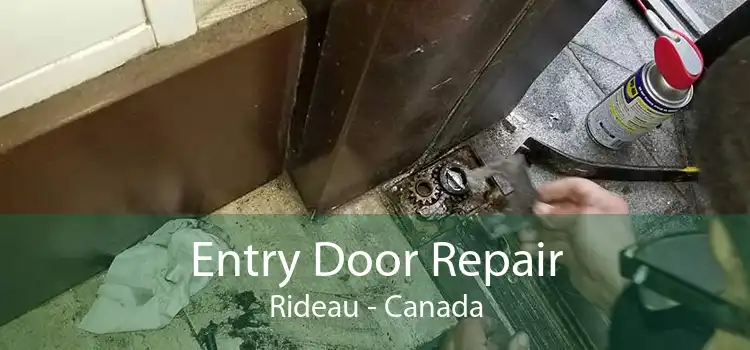 Entry Door Repair Rideau - Canada