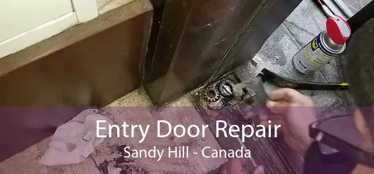 Entry Door Repair Sandy Hill - Canada