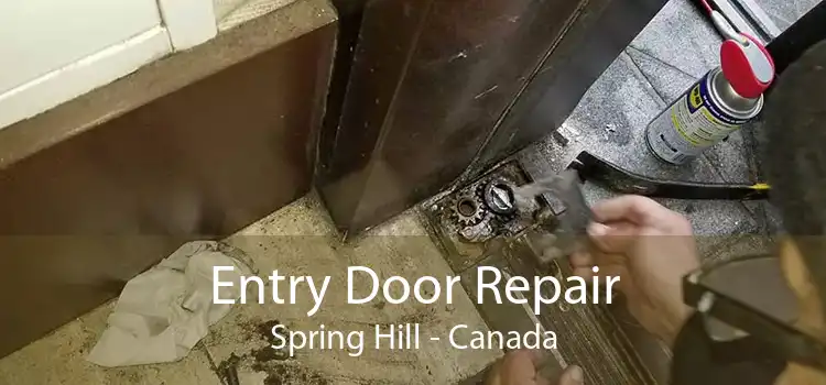 Entry Door Repair Spring Hill - Canada