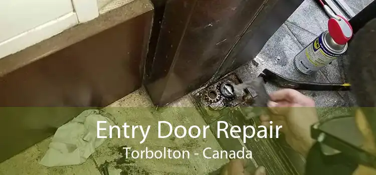 Entry Door Repair Torbolton - Canada