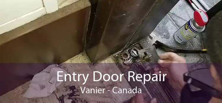 Entry Door Repair Vanier - Canada
