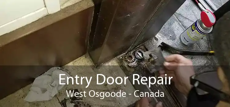 Entry Door Repair West Osgoode - Canada