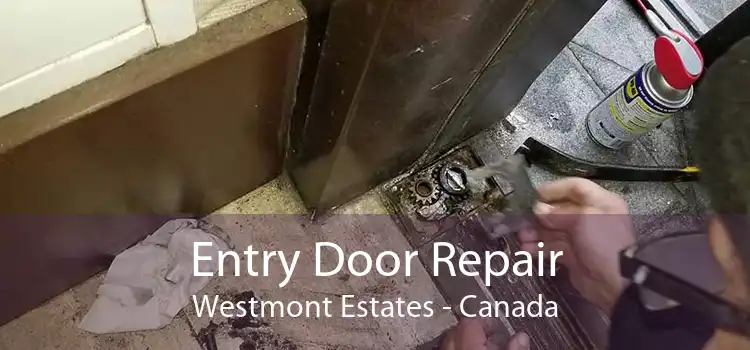 Entry Door Repair Westmont Estates - Canada