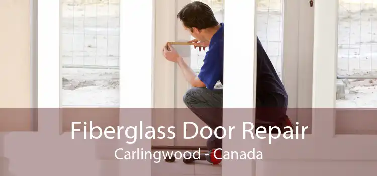 Fiberglass Door Repair Carlingwood - Canada