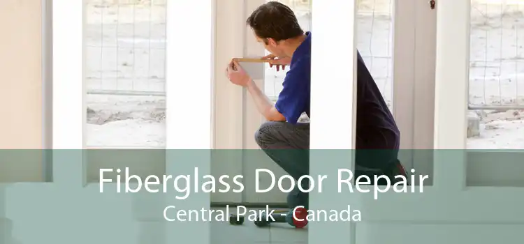 Fiberglass Door Repair Central Park - Canada