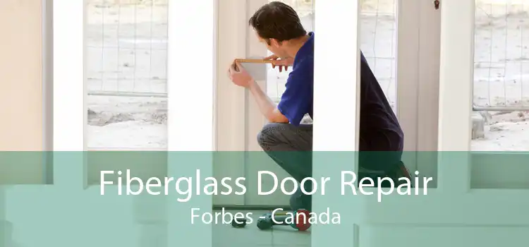 Fiberglass Door Repair Forbes - Canada