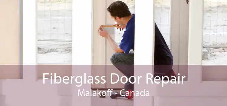 Fiberglass Door Repair Malakoff - Canada