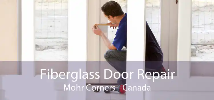 Fiberglass Door Repair Mohr Corners - Canada
