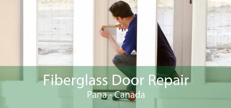 Fiberglass Door Repair Pana - Canada