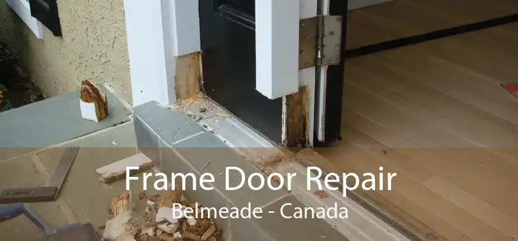 Frame Door Repair Belmeade - Canada