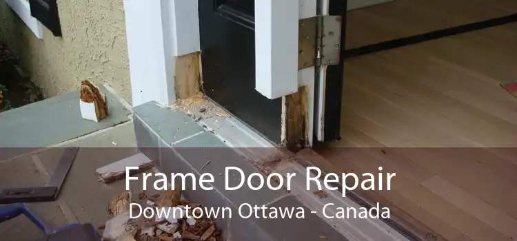 Frame Door Repair Downtown Ottawa - Canada