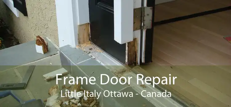 Frame Door Repair Little Italy Ottawa - Canada