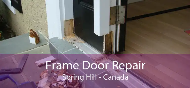 Frame Door Repair Spring Hill - Canada