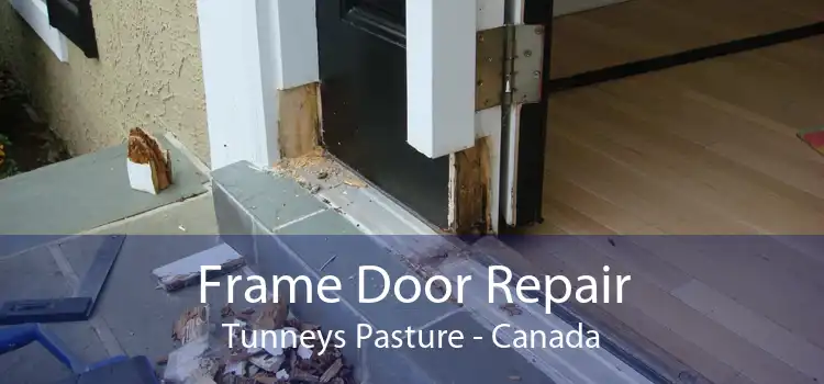 Frame Door Repair Tunneys Pasture - Canada